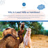 Aadvik Raw Camel Milk Powder Freeze Dried